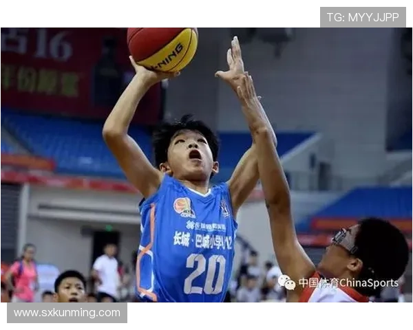 中国民营篮球联赛（中国篮球协会是民间机构）sports